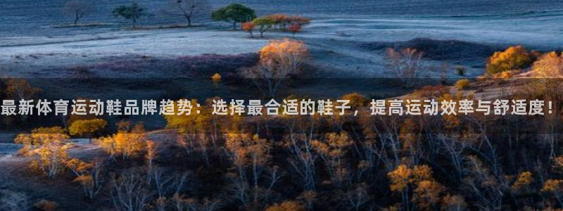 哈哈体育下载