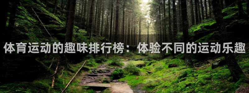 哈哈体育十年