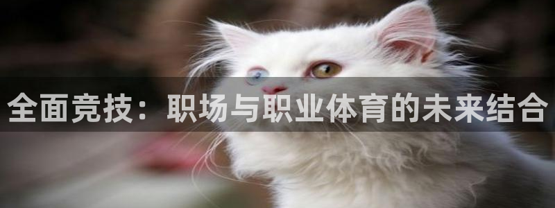哈哈体育十年