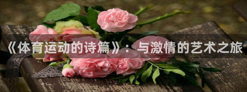 哈哈体育十年：《体育运动的诗篇》：与激情的艺术之旅