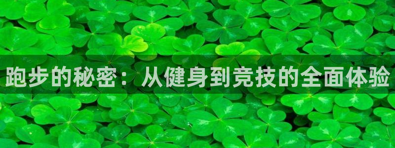 哈哈体育十年：跑步的秘密：从健身到竞技的全面体验
