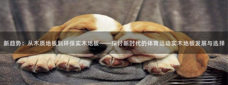 哈哈体育下载