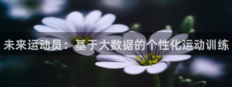 哈哈体育十年：未来运动员：基于大数据的个性化运动训练