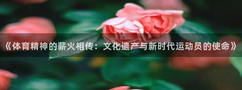哈哈体育十年