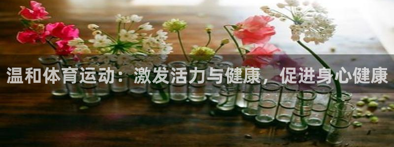 哈哈体育十年：温和体育运动：激发活力与健康，促进身心健康
